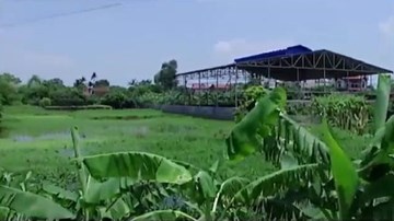 Hưng Yên: UBND xã thu hồi đất của gia đình liệt sĩ gây bức xúc