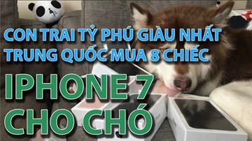 Con trai tỷ phú giàu nhất Trung Quốc mua 8 chiếc iphone 7 cho chó