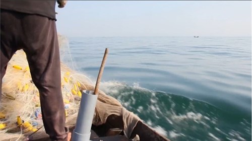 Hải sản tầng nổi trong 20 hải lý có an toàn?