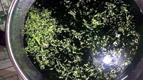 Phát hiện nhiều cơ sở dùng hóa chất ngâm rau muống