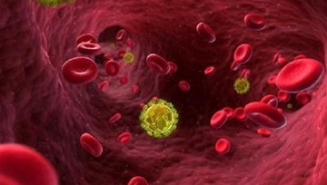 Anh chữa thành công một bệnh nhân HIV