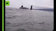 Ngư dân Nga sốc thấy tàu ngầm nổi ngay cạnh