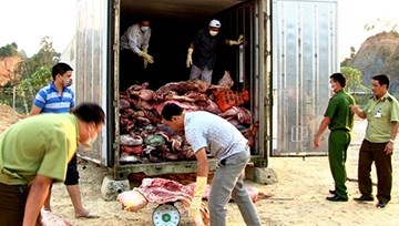 Bắt giữ 10 tấn thịt lợn đang trong quá trình phân hủy tại Lạng Sơn