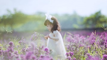 Ngất ngây với thảo nguyên hoa ngay giữa lòng Hà Nội