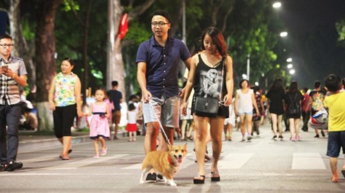 Hà Nội ngày đầu thực hiện lệnh cấm chó không rọ mõm vào phố đi bộ