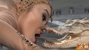 Cô gái xinh đẹp hôn hàm cá sấu khiến người xem đứng tim