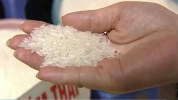 Tràn lan gạo tẩm hương liệu tạo mùi thơm