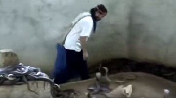 Người đàn ông bình thản trước hàng trăm con hổ mang chúa