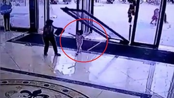 Tai nạn kinh hoàng: Bé gái 3 tuổi bị cửa kính khổng lồ đè trúng người