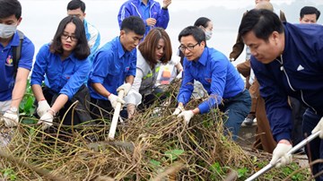 Phó Thủ tướng Vũ Đức Đam nhặt rác, trồng cây cùng sinh viên