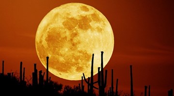 Thời gian, địa điểm, cách ngắm siêu trăng ở Việt Nam