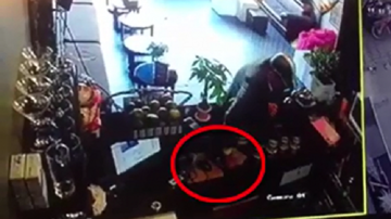 Quý ông diện com lê trộm điện thoại nhanh như chớp trong quán cafe