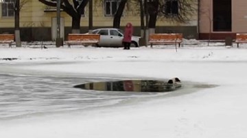 Mất 1 phút rét buốt, người đàn ông hút mọi ánh nhìn ngưỡng mộ