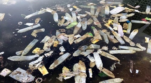 Điều tra nguyên nhân bao cao su nổi trắng hồ Linh Đàm, Hà Nội