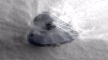 Xôn xao clip phi thuyền của 'người ngoài hành tinh' gặp nạn trên sao Hỏa