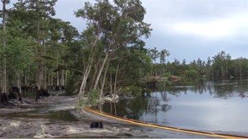 Xem hố tử thần nuốt hàng chục cây rừng