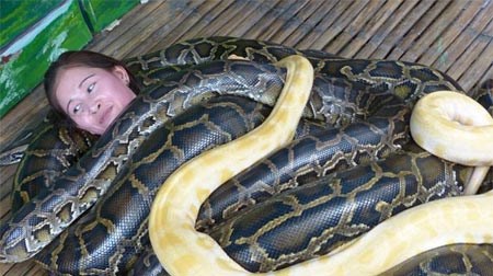 Rợn tóc gáy với cảnh mát xa trăn