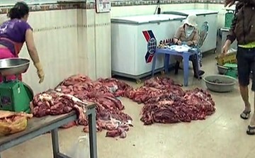 Tàn nhẫn cảnh bơm nước tăng trọng cho bò
