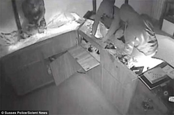 Kẻ trộm 'dọn sạch' tiệm vàng trong nháy mắt