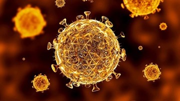 Bé gái được cho là được chữa khỏi HIV bị tái nhiễm trở lại