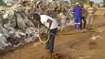 Người đàn ông có “ma thuật” khiến rắn dữ nằm bẹp như gián