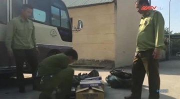 Bắt giữ xe khách chở nhiều động vật quý hiếm