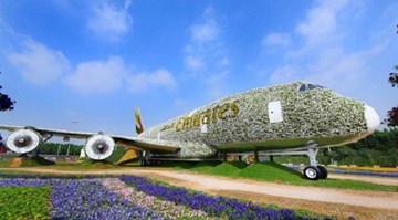 Dùng 5 triệu bông hoa tạo hình máy bay Airbus A380