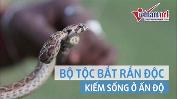 Khám phá bộ tộc bắt rắn độc kiếm sống qua ngày ở Ấn Độ