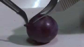 Bác sĩ Trung Quốc phẫu thuật quả nho để rèn luyện tay nghề