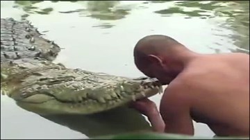 Hãi hùng với trào lưu nuôi 