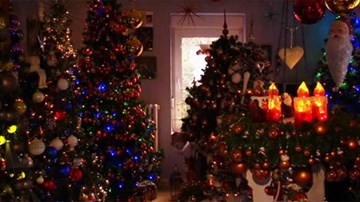 Cuồng Giáng Sinh, trang trí nhà với 100 cây thông Noel