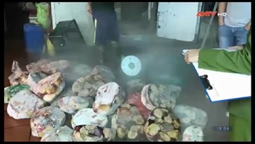 Kho nội tạng mốc xanh găm chờ Tết ở ngoại thành Hà Nội