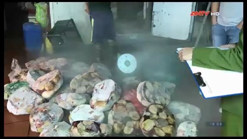 Kho nội tạng mốc xanh găm chờ Tết ở ngoại thành Hà Nội