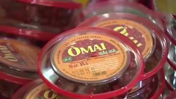 Sự thật đằng sau 7 tấn ô mai trong căn nhà hoang