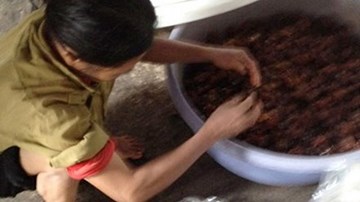 Thâm nhập cơ sở sản xuất ô mai không đảm bảo vệ sinh