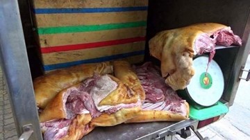 Gian thương thú nhận dùng thuốc nhuộm tóc biến heo nái thải thành heo rừng