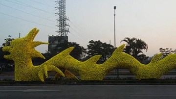Cận cảnh con vật giống rồng gây nhiều tranh cãi tại Hải Phòng