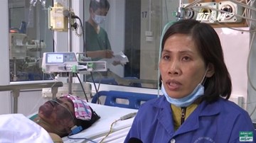 Ăn tiết canh lợn mán, lợn rừng có nhiễm liên cầu khuẩn?