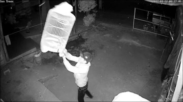 Thanh niên liều lĩnh xông vào nhà trộm... lồng chim