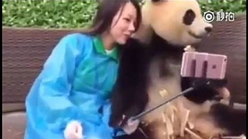 Phì cười clip gấu trúc làm duyên 'tự sướng'
