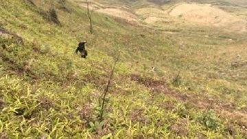 Một nam phượt thủ rơi xuống vực từ 