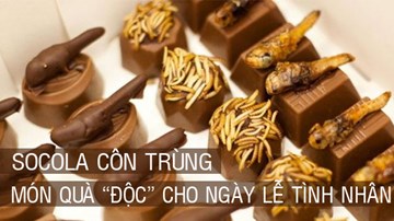 Socola côn trùng, cocktail cà cuống: Món quà 