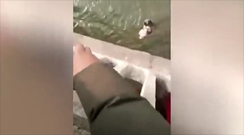 Em bé bị mẹ ném bỏ xuống sông được cứu sống một cách thần kỳ
