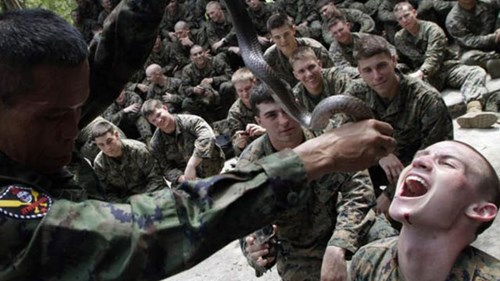 Binh sĩ Mỹ uống máu rắn trong tập trận “Hổ mang vàng”