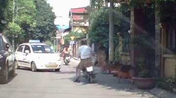 Một tai nạn không thể nhịn cười