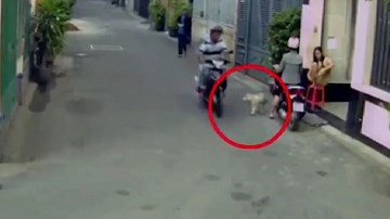 Ngang nhiên bắt trộm chó ngay trước mặt cô gái