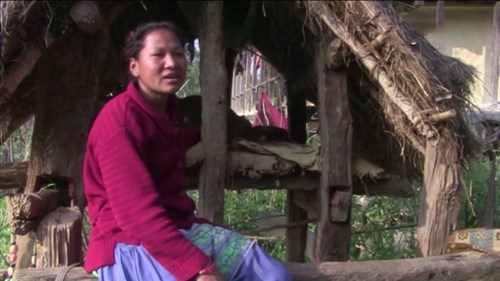 Nepal: Phụ nữ phải ăn ngủ ngoài chuồng bò vào “ngày đèn đỏ”