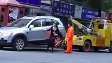 Nữ tài xế đầu gấu nhất thế giới