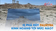 IS đã tàn phá thành phố cổ Palmyra kinh hoàng tới mức nào?