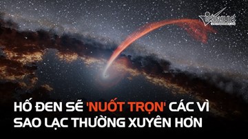 Hiện tượng hố đen 'nuốt trọn' sao lạc sẽ ra với tần suất dày đặc